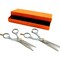 5 Hair Cutting Scissors & Thinning Shears Barber Stylist Styling Tools